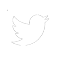 Twitter Logo